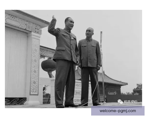 全面解读网球比赛的规则与技巧