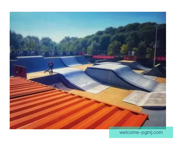 BMX赛事预测：揭秘未来冠军之路