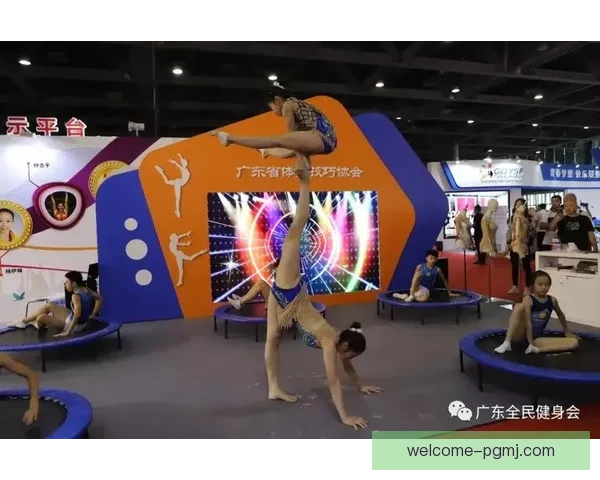 体操赛事重燃热情：精彩回放抢先看