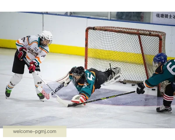 冰球技巧大揭秘，助你成为高水平冰球运动员