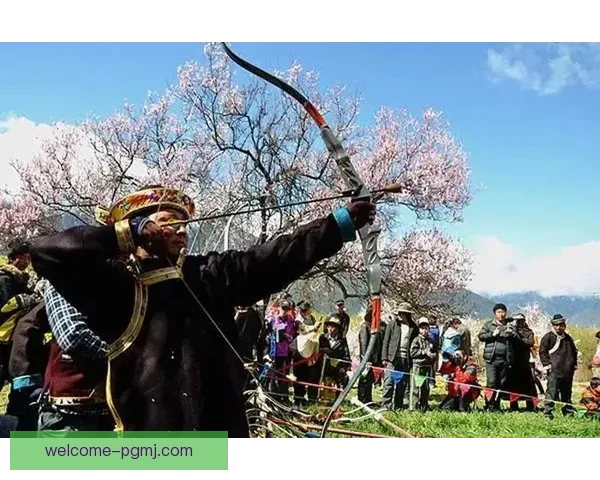 射箭公开赛：精准弓箭争锋！