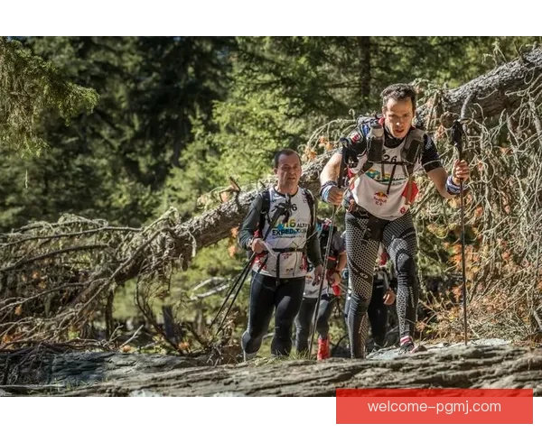 探险挑战！极限越野赛彰显勇气与智慧