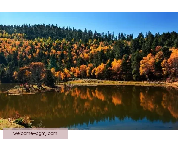 探寻极限挑战者，越野跑赛场决胜时刻揭晓