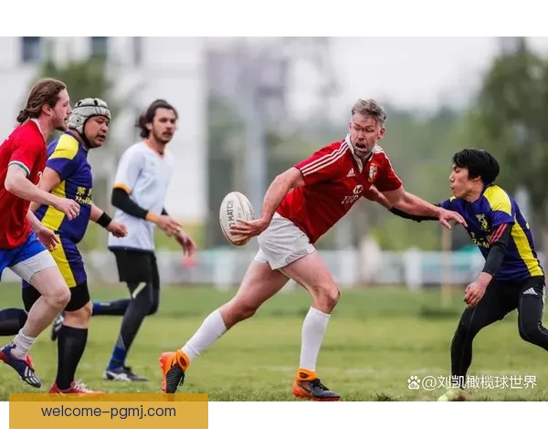 激情橄榄球：追寻冠军之梦