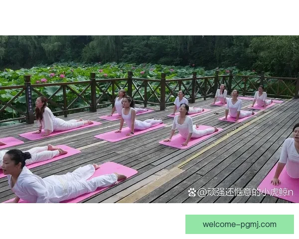 瑜伽直播：身心合一，健康生活