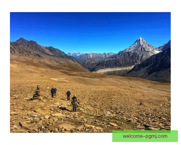 穿越崎岖山脉：山地车比赛全方位指南