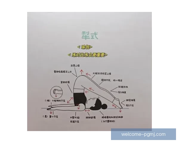 瑜伽数据分析:探索身心灵连接的奥秘 瑜伽数据分析:探索身心灵连接的奥秘