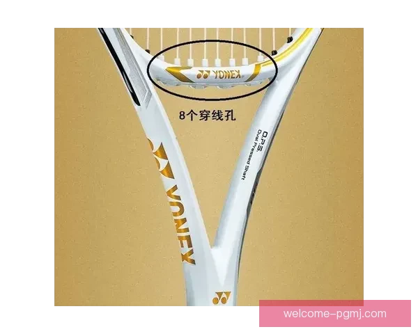 网球数据分析：洞悉背后的玄机