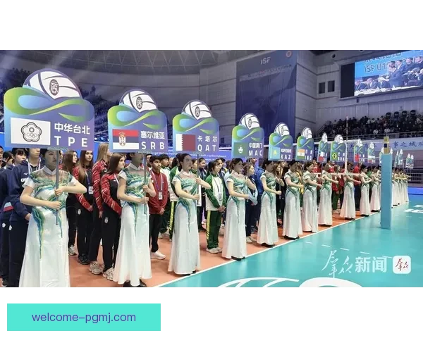 精彩纷呈的排球直播盛宴