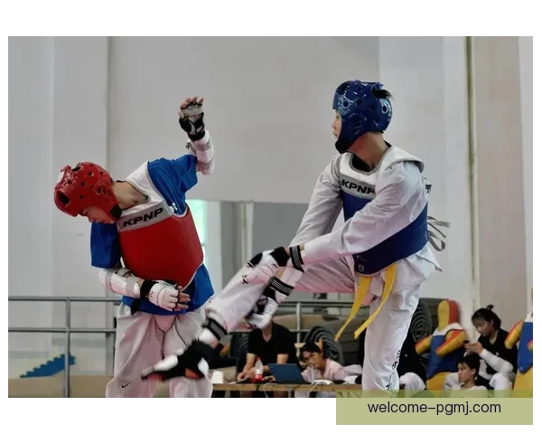 跆拳道教学视频大全分享推荐