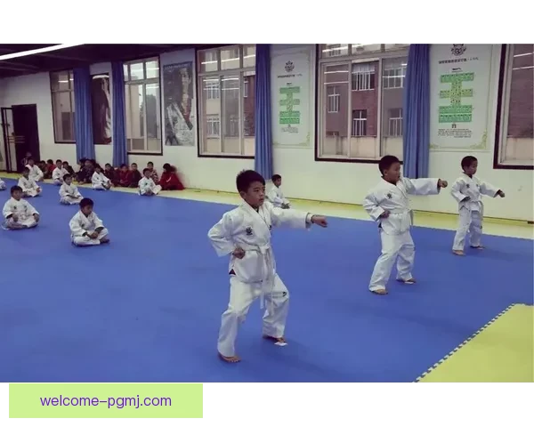 跆拳道赛事精彩回顾：搏击风采再现