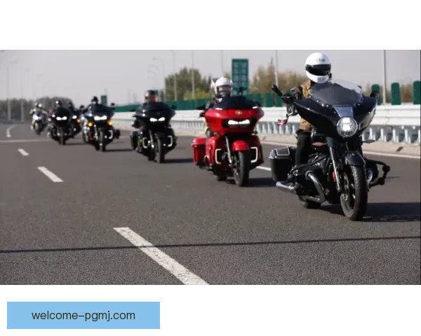 骑行世界：打造完美体能与技术的自行车训练指南